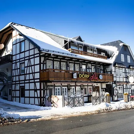 Hotel Gaestehaus Dorf-alm 3*