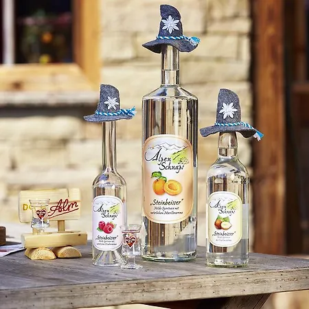 Gaestehaus Dorf-alm ヴィリンゲン