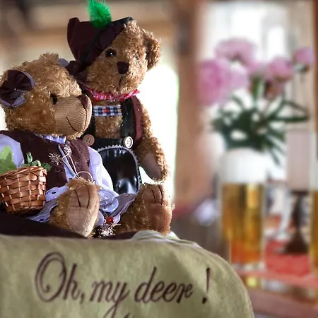 Hotel Gaestehaus Dorf-alm 3*