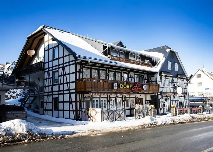 فندق Gaestehaus Dorf-alm 3*